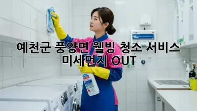🏡 예천군 풍양면 웰빙 청소 서비스: 미세먼지 OUT! 💨