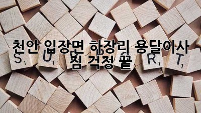 천안 입장면 하장리 용달이사, 짐 걱정 끝!