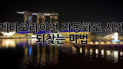 메타오라이언🚀: 자동화로 ✨시간 되찾는 마법!